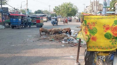 বন্দরে শতফুটের সড়কে আবর্জনার স্তুপ, জনস্বাস্থ্য ঝুঁকি