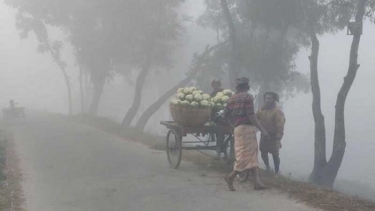 পঞ্চগড়ে তাপমাত্রা নামল ১২ ডিগ্রিতে