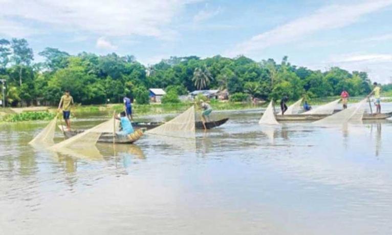 হালদা নদীকে মৎস্য হেরিটেজ ঘোষণা করে প্রজ্ঞাপন জারি