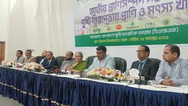 গড় হিসাবের আড়ালে গরিব মানুষের পুষ্টি চিত্র হারিয়ে যায় : মৎস্য উপদেষ্টা