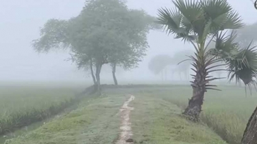 শীতে শুরুতে কাঁপছে পঞ্চগড়, সর্বনিম্ন তাপমাত্রা ১৩ ডিগ্রি