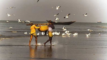 দুবলার চরে ‌‘রাস পূর্ণিমা পূজা ও পুণ্যস্নান’ উপলক্ষে নিরাপত্তা জোরদার