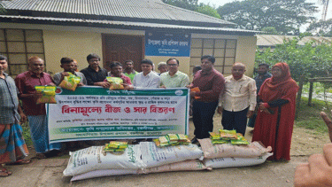 জামালপুরে কৃষি প্রণোদনা পাচ্ছেন ৩৮ হাজার কৃষক