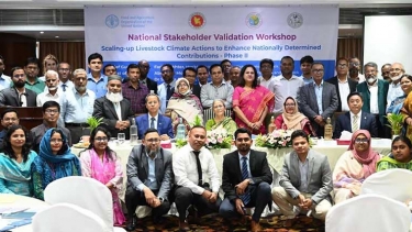 দেশি জাতের গরুর উৎপাদনশীলতা বাড়ানোর গুরুত্বারোপ মৎস্য ও প্রাণিসম্পদ উপদেষ্টার