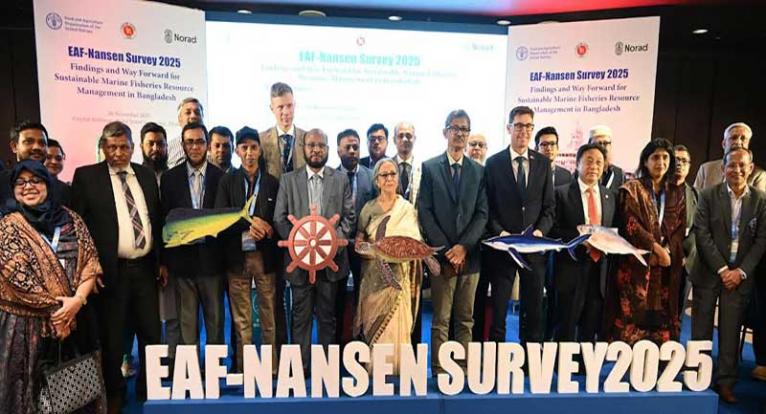 সমুদ্রে অবৈধ ও অতিরিক্ত মৎস্য আহরণে মাছের সংস্থান কমে যাচ্ছে: মৎস্য উপদেষ্টা