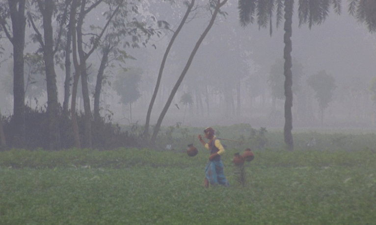 আবহাওয়া অফিস জানালো, দেশে কতটি তীব্র শৈত্যপ্রবাহ হবে