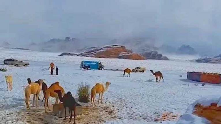 মাইনাস ১০ ডিগ্রি সেলসিয়াসে কাঁপছে সৌদি