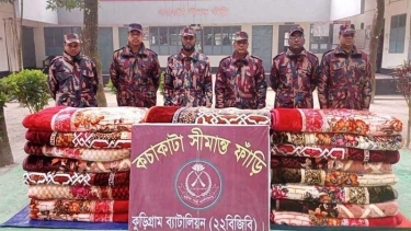 সীমান্তে ৩৮ লাখ টাকার ভারতীয় পণ্য জব্দ