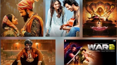২০২৫ কাঁপিয়েছে যেসব বলিউড সিনেমা