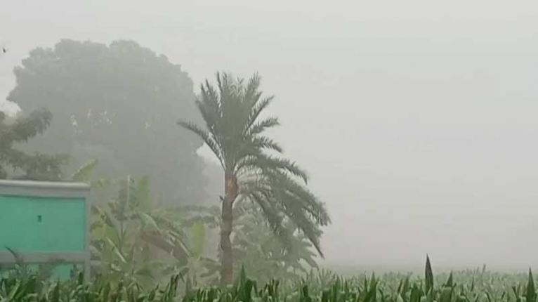 চুয়াডাঙ্গায় হাড় কাঁপানো শীতে বিপর্যস্ত জনজীবন