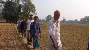 ক্ষেতের আইলই পথ, সরিষাবাড়ী তারাকান্দি উত্তরপাড়ার বাসিন্দাদের চরম ভোগান্তি