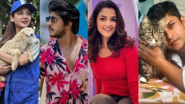 ৮ কুকুরছানা হত্যা: সর্বোচ্চ শাস্তি দাবি তারকাদের