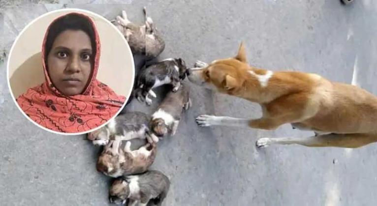 ৮ কুকুরছানা পুকুরে ফেলে হত্যার দায়ে সরকারি কর্মকর্তার স্ত্রী গ্রেপ্তার