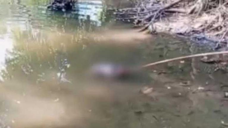 জামালপুরে পুকুর থেকে অজ্ঞাত নবজাতকের মরদেহ উদ্ধার