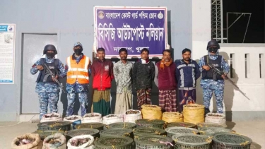 সুন্দরবনে অবৈধভাবে শিকার করা ৪৯০ কাঁকড়াসহ আটক ৫