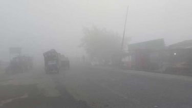 যে সব অঞ্চলে শৈত্যপ্রবাহ আরও বাড়বে, জানাল আবহাওয়া অফিস