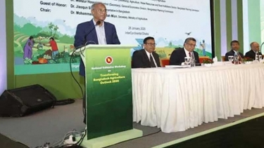 কৃষকদের উন্নয়ন না হলে দেশের উন্নয়ন হবে না - কৃষি উপদেষ্টা