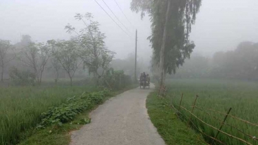 তীব্র শীতে কাঁপছে ঠাকুরগাঁও