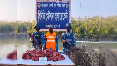 সুন্দরবনে পাচারের সময় ফাঁদসহ ১০০ কেজি হরিণের মাংস উদ্ধার