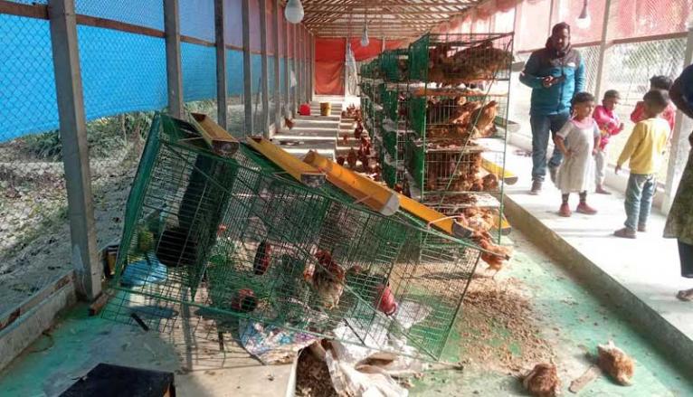 সরিষাবাড়ীতে মুরগির খামারে তাণ্ডব, হত্যার হুমকিতে পরিবার