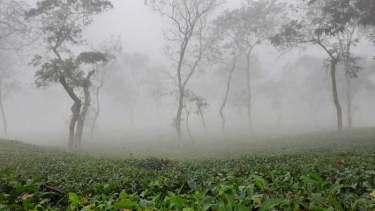 দেশের সর্বনিম্ন তাপমাত্রা ৯ ডিগ্রি সেলসিয়াসে শ্রীমঙ্গলে