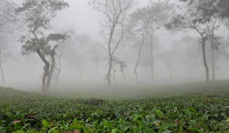 দেশের সর্বনিম্ন তাপমাত্রা ৯ ডিগ্রি সেলসিয়াসে শ্রীমঙ্গলে
