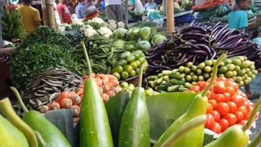 বাজারে কমেছে লেবু-শসা-বেগুনসহ নিত্যপণ্যের দাম