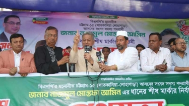 ধানের শীষের জোয়ার নয় সুনামি আসছে : আমীর খসরু