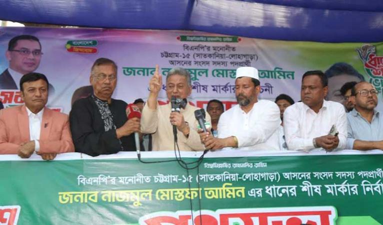 ধানের শীষের জোয়ার নয় সুনামি আসছে : আমীর খসরু