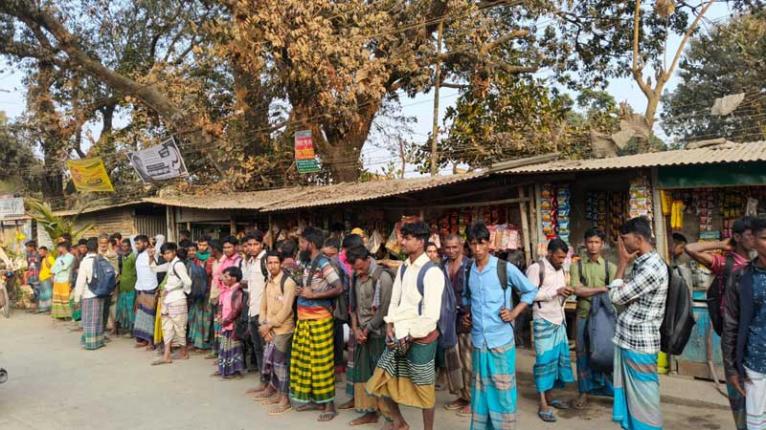 বোরো রোপণে ব্যস্ত সরিষাবাড়ী, সরগরম স্থানীয় শ্রমবাজার