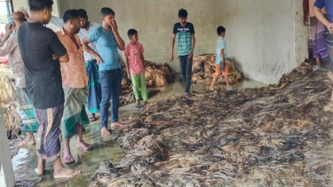 সালথায় পাটের গোডাউনে আগুন, ২৫ লক্ষাধিক টাকার ক্ষয়ক্ষতি