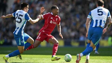 ঘরের মাঠে লিভারপুলকে হারাল ব্রাইটন