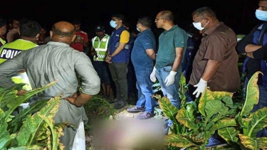 চুয়াডাঙ্গায় তামাক ক্ষেতে মিলল নারীর ক্ষতবিক্ষত মরদেহ