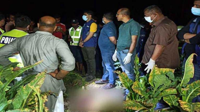 চুয়াডাঙ্গায় তামাক ক্ষেতে মিলল নারীর ক্ষতবিক্ষত মরদেহ