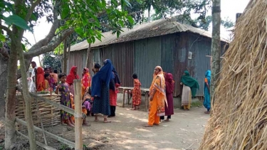 সরিষাবাড়ীতে বিবাদ মেটাতে গিয়ে যুবকের মৃত্যু, শোকে প্রাণ হারালেন প্রতিবেশীও