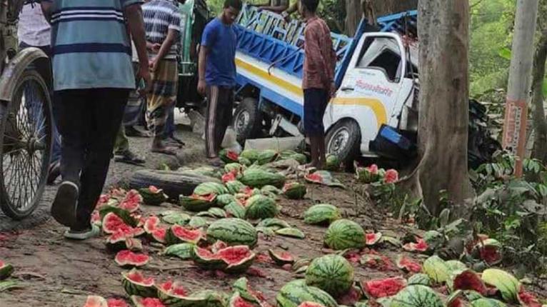 ফরিদপুরে গাছের সঙ্গে পিকআপের ধাক্কা, তরমুজ ব্যবসায়ী নিহত