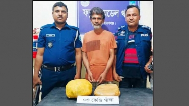 ফতুল্লায় ৩ কেজি গাঁজাসহ মাদক কারবারি গ্রেফতার