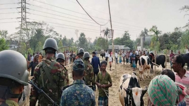 জামালপুরে অবৈধ গরুর হাট গুঁড়িয়ে দিল প্রশাসন