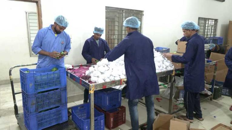 মধ্যপ্রাচ্যে সংঘাত: দেশের সবজি রফতানি প্রায় বন্ধ, বিকল্প বাজার খোঁজার তাগিদ