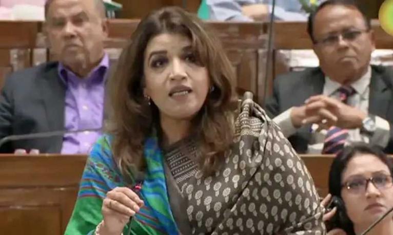 মুক্তিযুদ্ধের চেতনা বিক্রি করি না, ধারণ করি : পররাষ্ট্র প্রতিমন্ত্রী