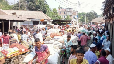 পেঁয়াজের দাম কম হওয়ায় ক্ষতির মুখে কৃষক