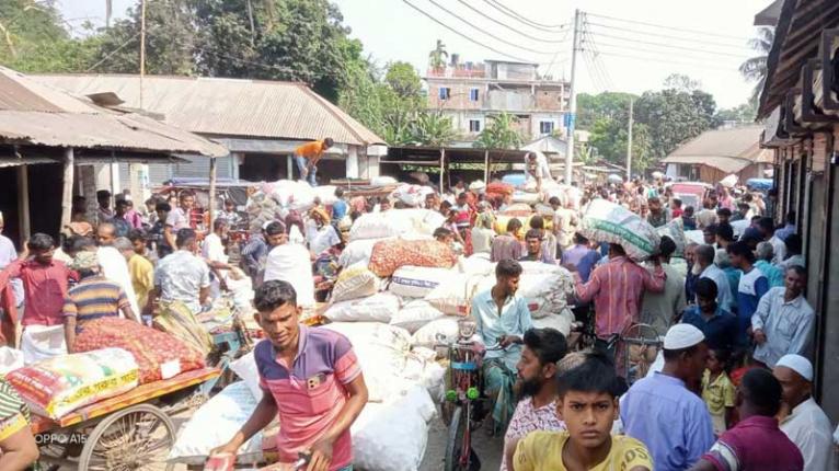 পেঁয়াজের দাম কম হওয়ায় ক্ষতির মুখে কৃষক