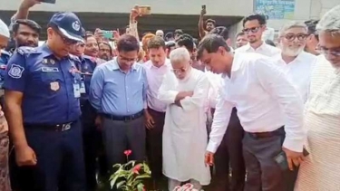 কাঁচপুরে বৃক্ষরোপণ উদ্বোধন করলেন এমপি মান্নান