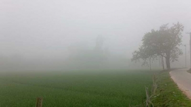 হঠাৎ কুয়াশায় ঢেকে গেল দিনাজপুর