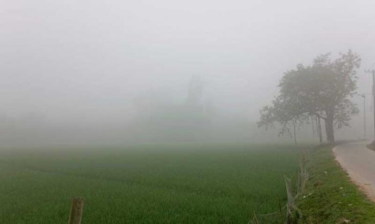 হঠাৎ কুয়াশায় ঢেকে গেল দিনাজপুর