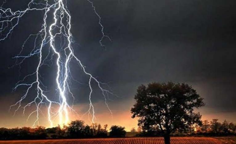 ভাঙ্গা এক্সপ্রেসওয়ের টোল প্লাজায় বজ্রপাতে কর্মচারী গুরুতর আহত