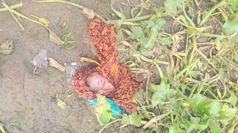 সালথায় ব্রিজের নিচ থেকে গর্ভপাতকৃত ভ্রূণের লাশ উদ্ধার