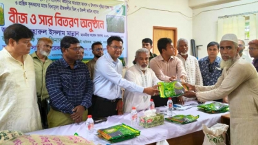 প্রণোদনা কৃষকদের উৎপাদন খরচ কমিয়ে আয়ের সুযোগ বাড়াবে: এমপি মান্নান