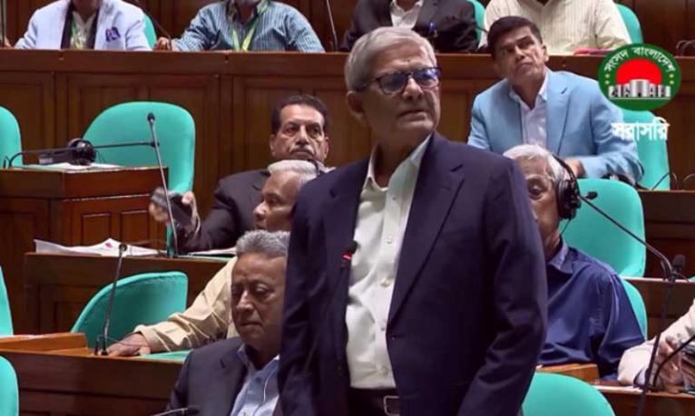 সংবিধান আমাদের আবেগ ও লাখ শহীদের রক্তের সঙ্গে জড়িত : মির্জা ফখরুল