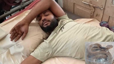 কামড় দেওয়া জীবিত সাপ নিয়েই হাসপাতালে যুবক